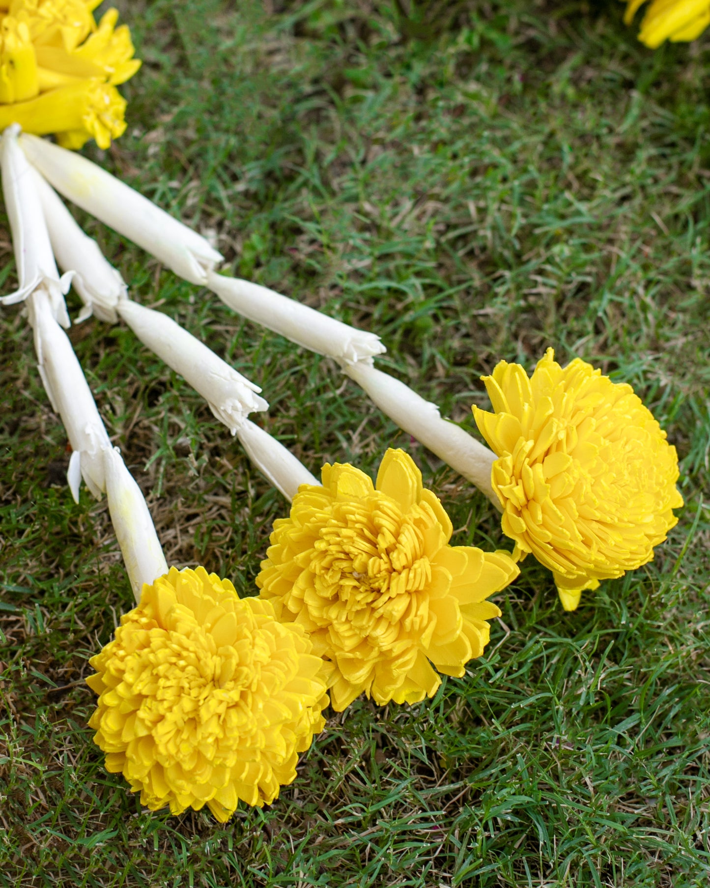 Yellow sola wood flowers- 6ft