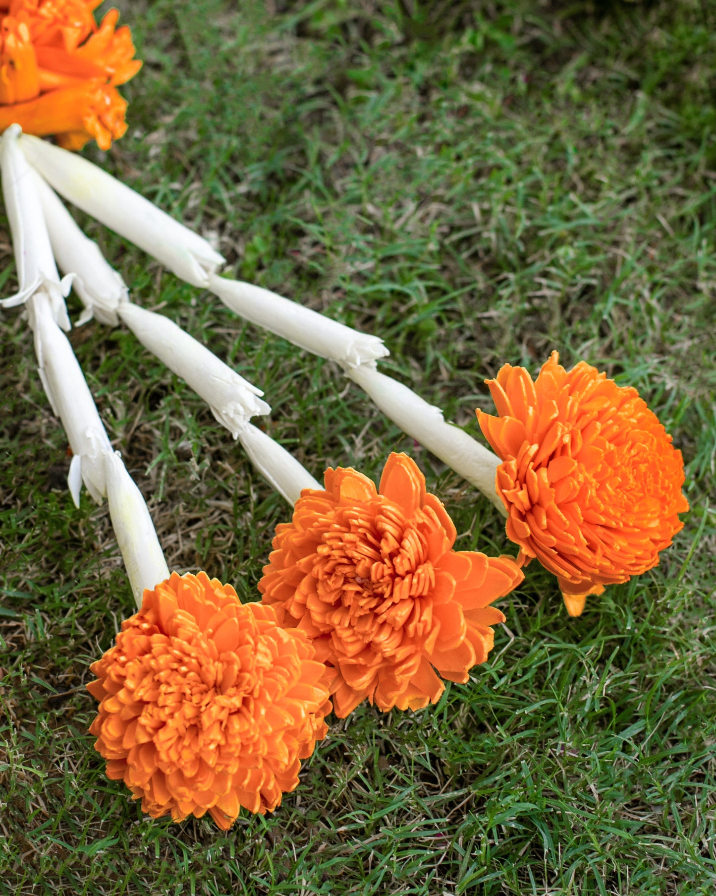 Orange sola wood flowers- 6ft