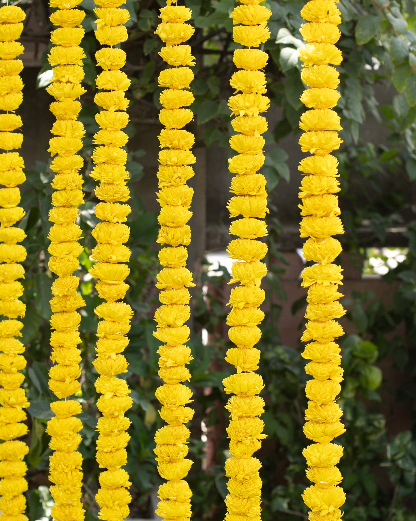 Yellow sola wood flowers- 6ft