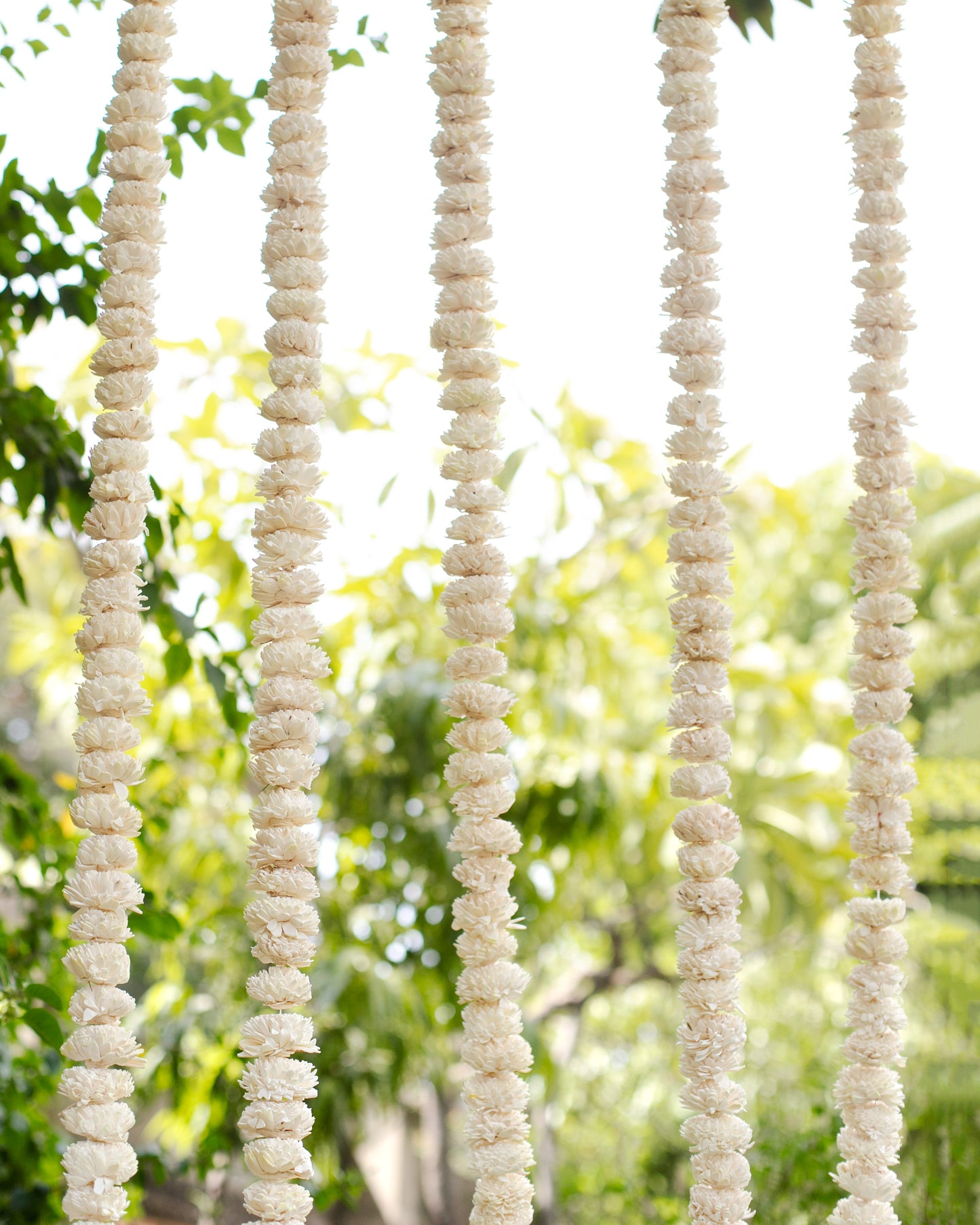 White sola wood flowers with Yellow ball- 6ft