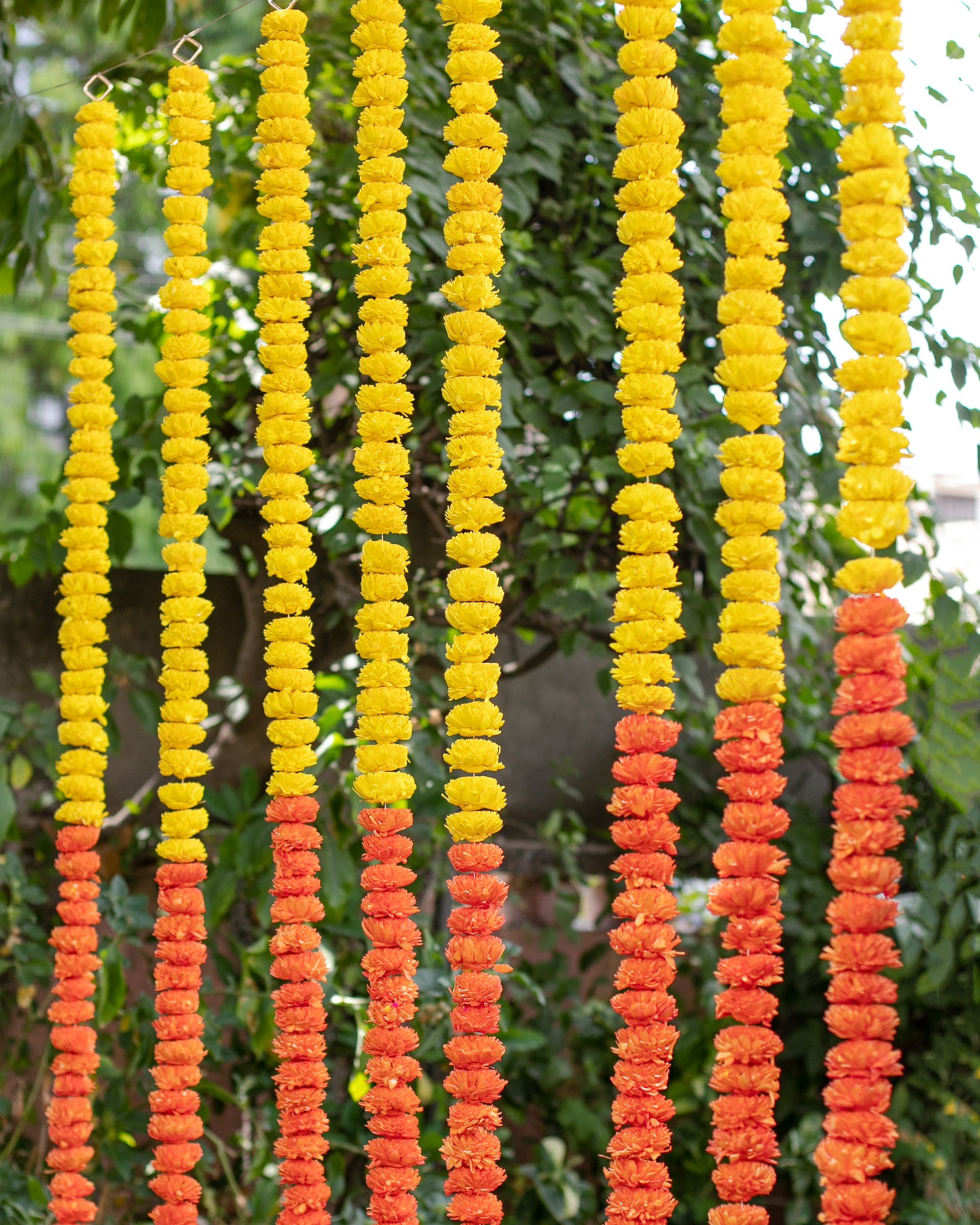 Orange and  Yellow sola wood flowers- 6ft