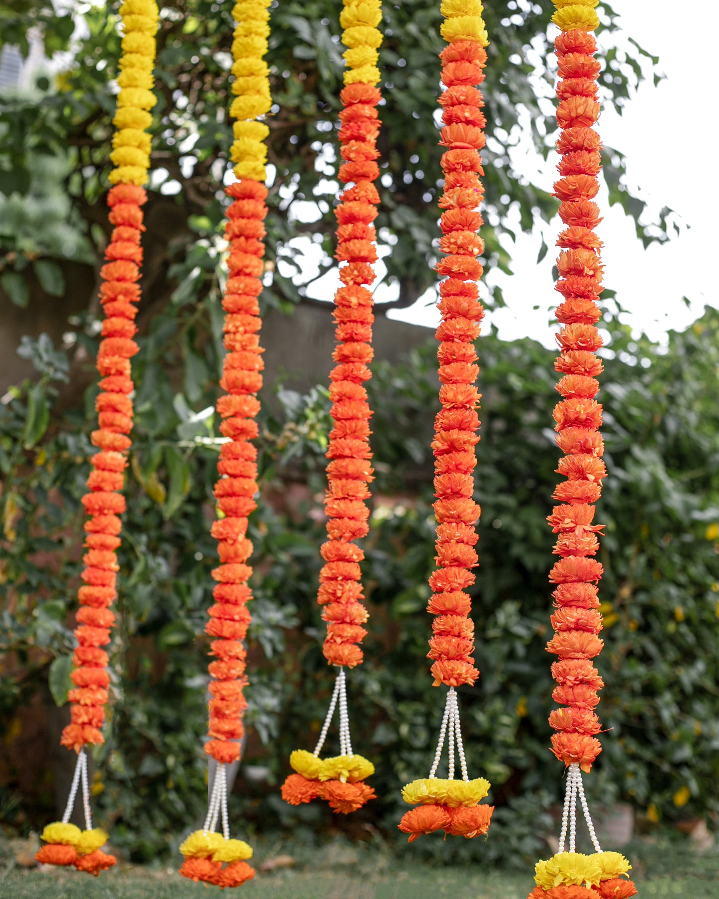 Orange and  Yellow sola wood flowers- 6ft