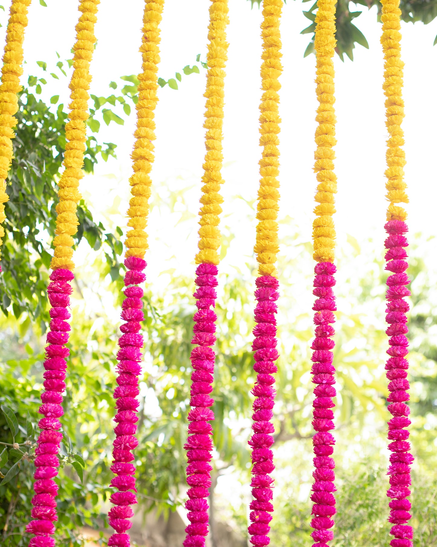 Pink and  Yellow sola wood flowers- 6ft