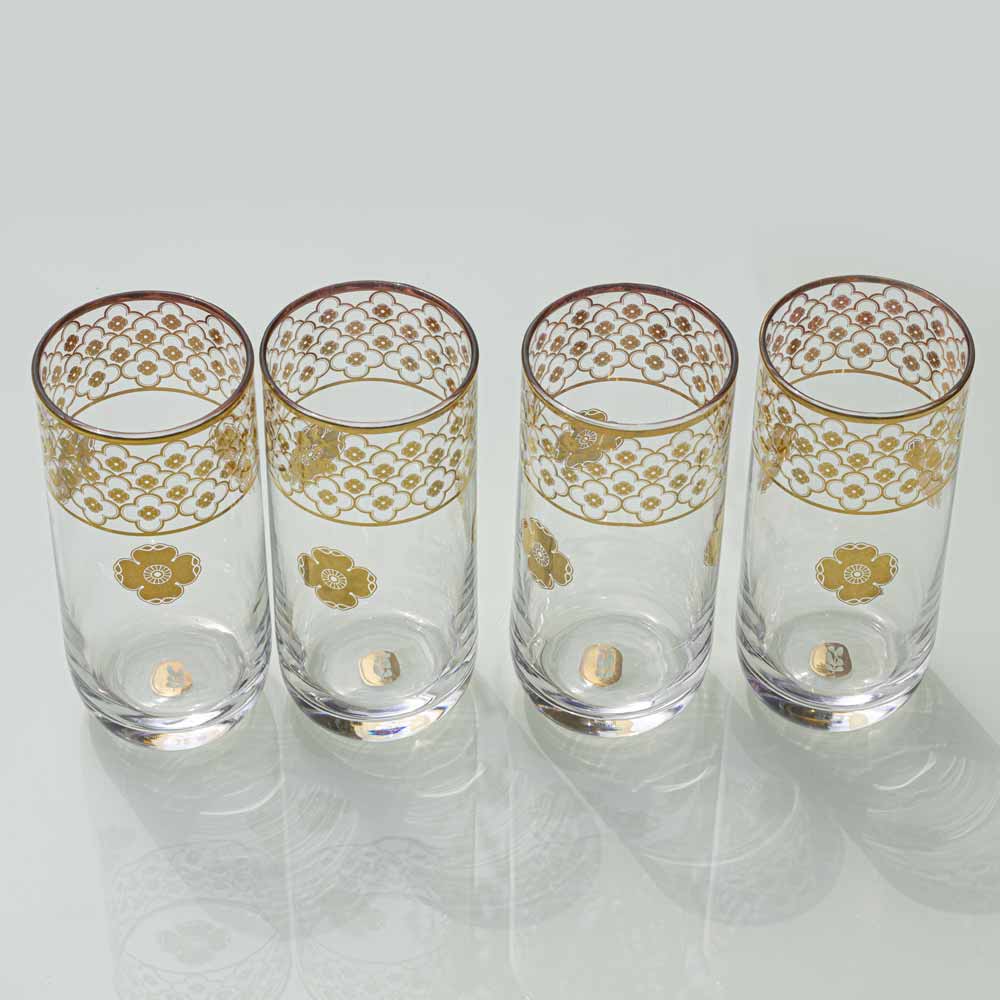 Neer Sadabahaar Glass set