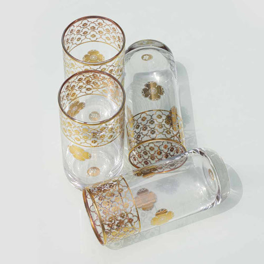 Neer Sadabahaar Glass set