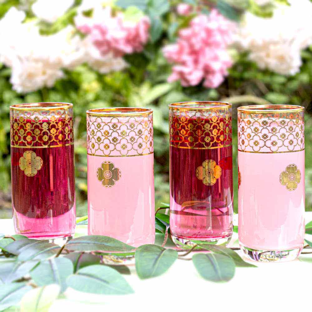 Neer Sadabahaar Glass set